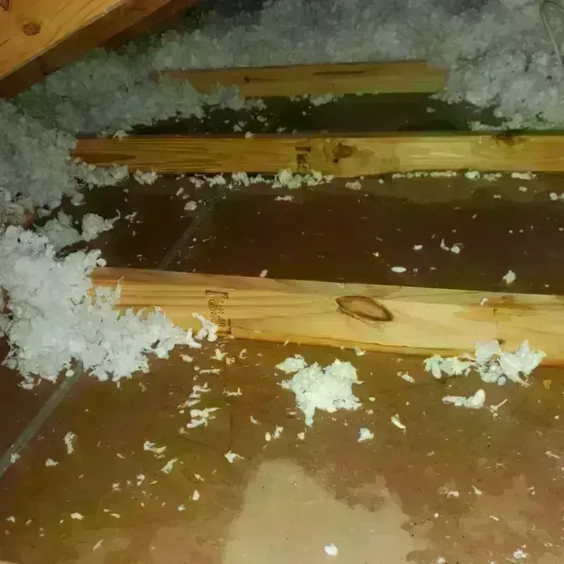 Attic Water Damage in Woodburn, OR