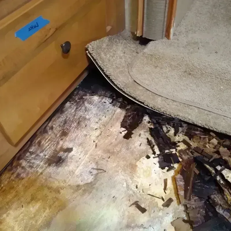 Wood Floor Water Damage in Woodburn, OR